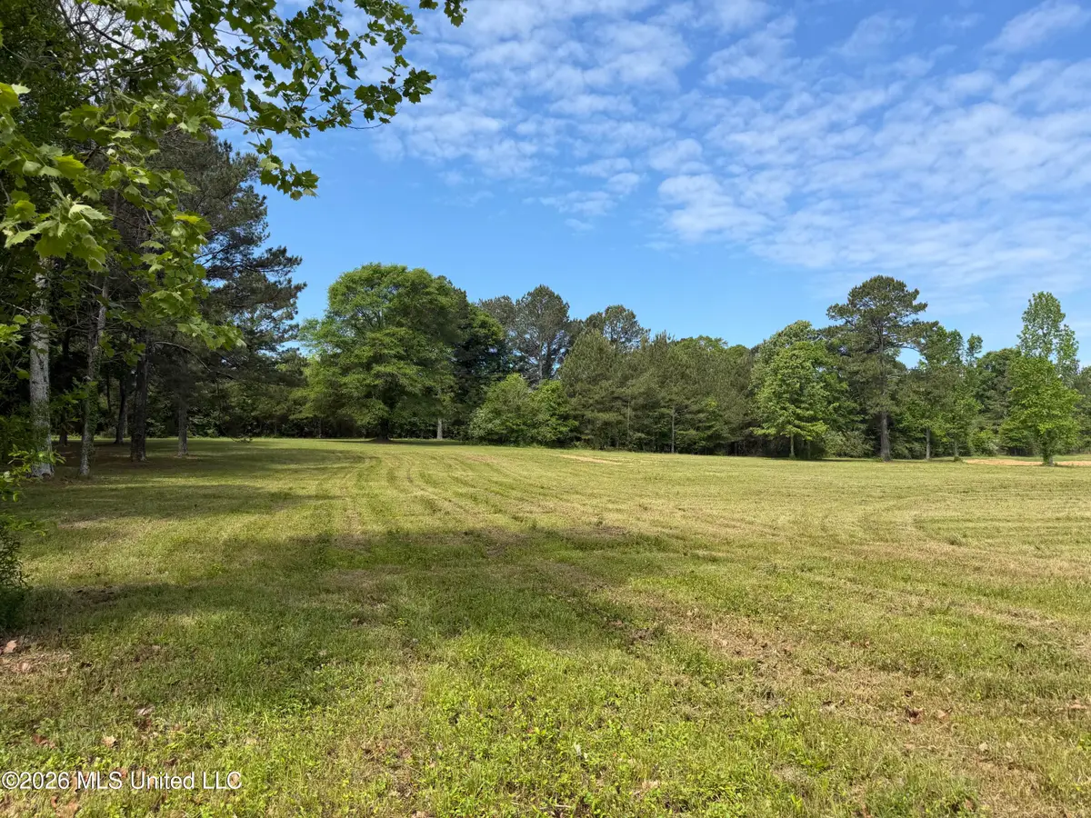 Mississippi 488 Highway, Carthage, MS 39051 - #1