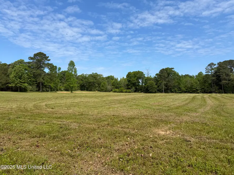 Mississippi 488 Highway, Carthage, MS 39051 - #2
