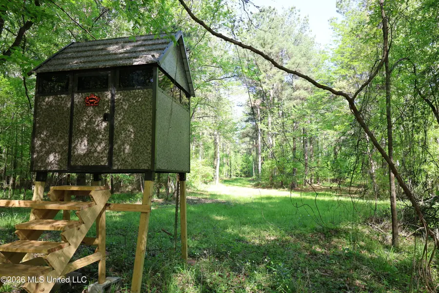 1060 Pearline Bailey Road, Port Gibson, MS 39150 - #3