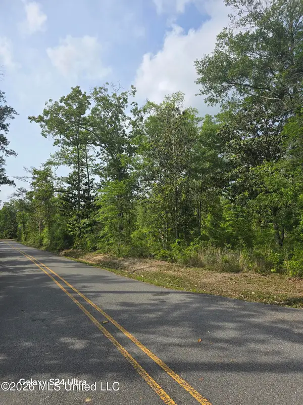 Summerlin Bayou Road, Vancleave, MS 39565