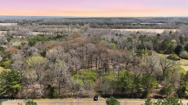 0 N Mullins Road, Byhalia, MS 38611