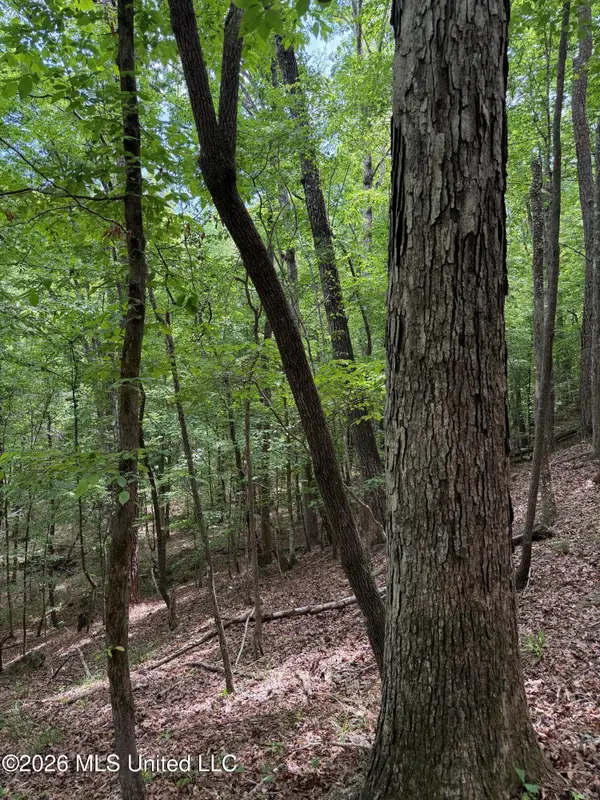 Air Control Station Road, Meridian, MS 39307