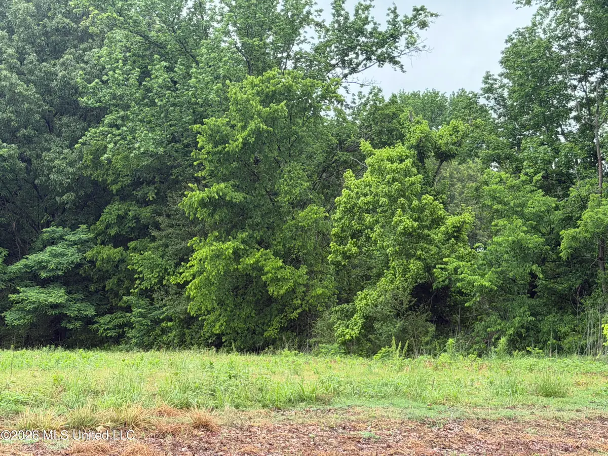 Green River Road, Lake Cormorant, MS 38641 - #1