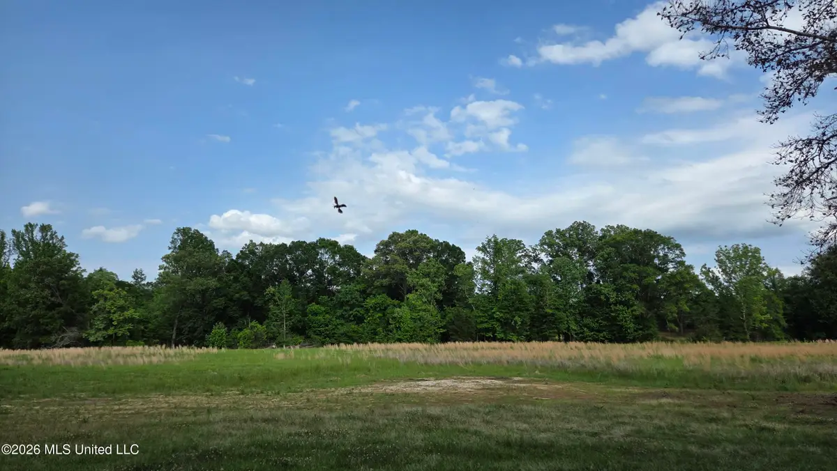 4845 Cayuga Road, Utica, MS 39175 - #1