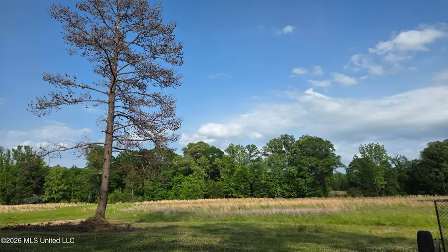4845 Cayuga Road, Utica, MS 39175 - #2