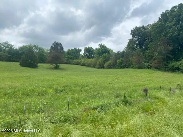 Peyton Road, Coldwater, MS 38618 - #2