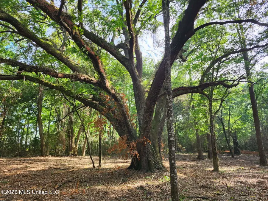 Parcel 1 Shiyou Road, Pass Christian, MS 39571 - #2