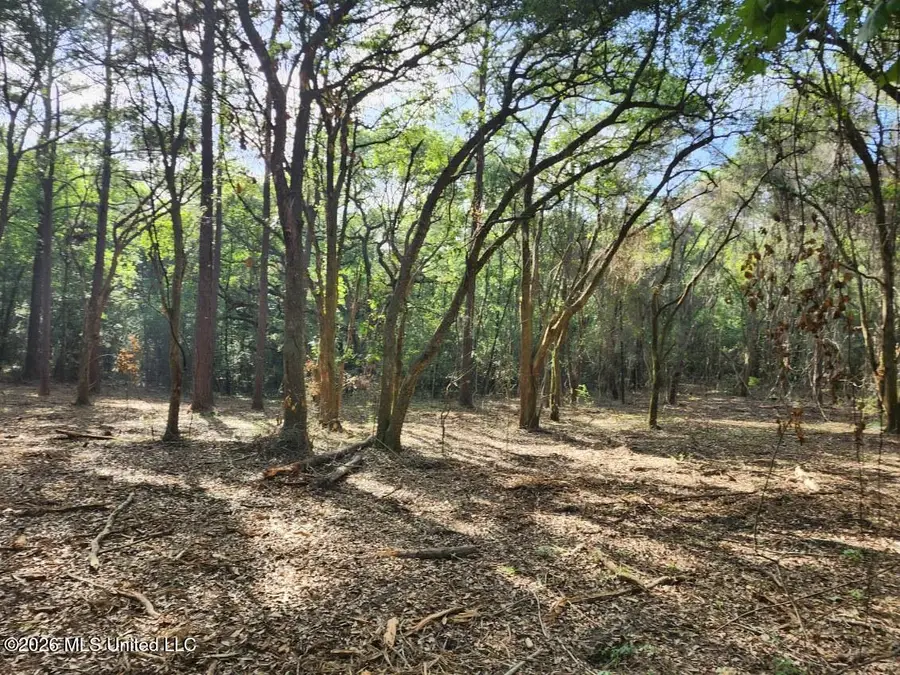 Parcel 2 Shiyou Road, Pass Christian, MS 39571 - #2