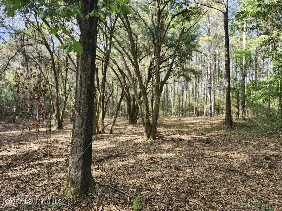 Parcel 2 Shiyou Road, Pass Christian, MS 39571 - #3