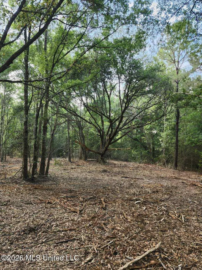 Parcel 3 Shiyou Road, Pass Christian, MS 39571 - #3