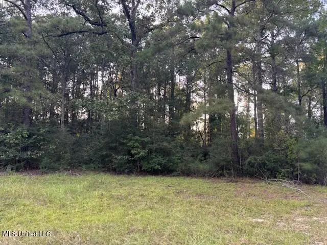 Lot #3 Park Place, McComb, MS 39648 - #2