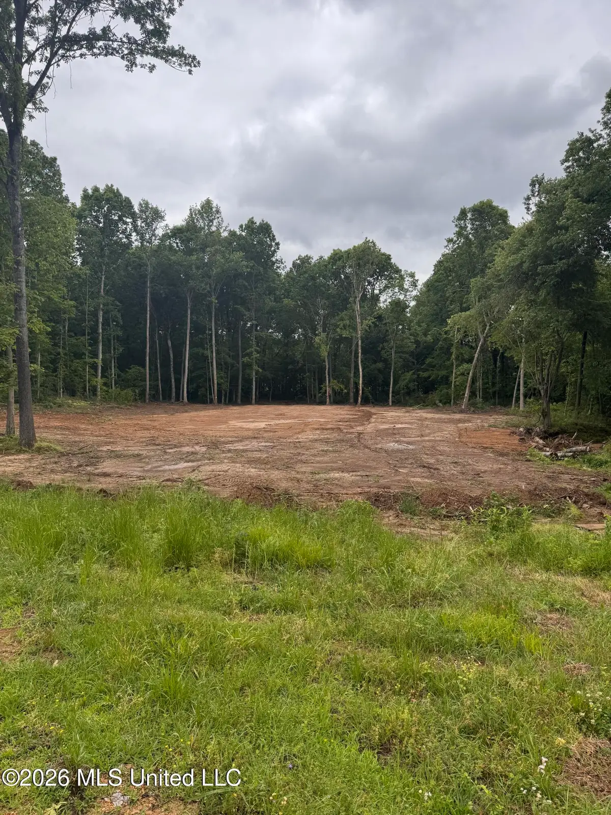 1306 Crockett Cove, Hernando, MS 38632 - #1