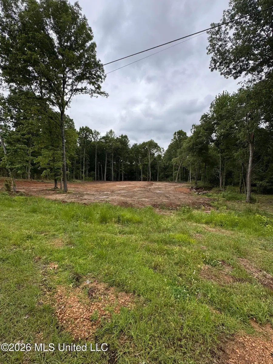 1306 Crockett Cove, Hernando, MS 38632 - #2