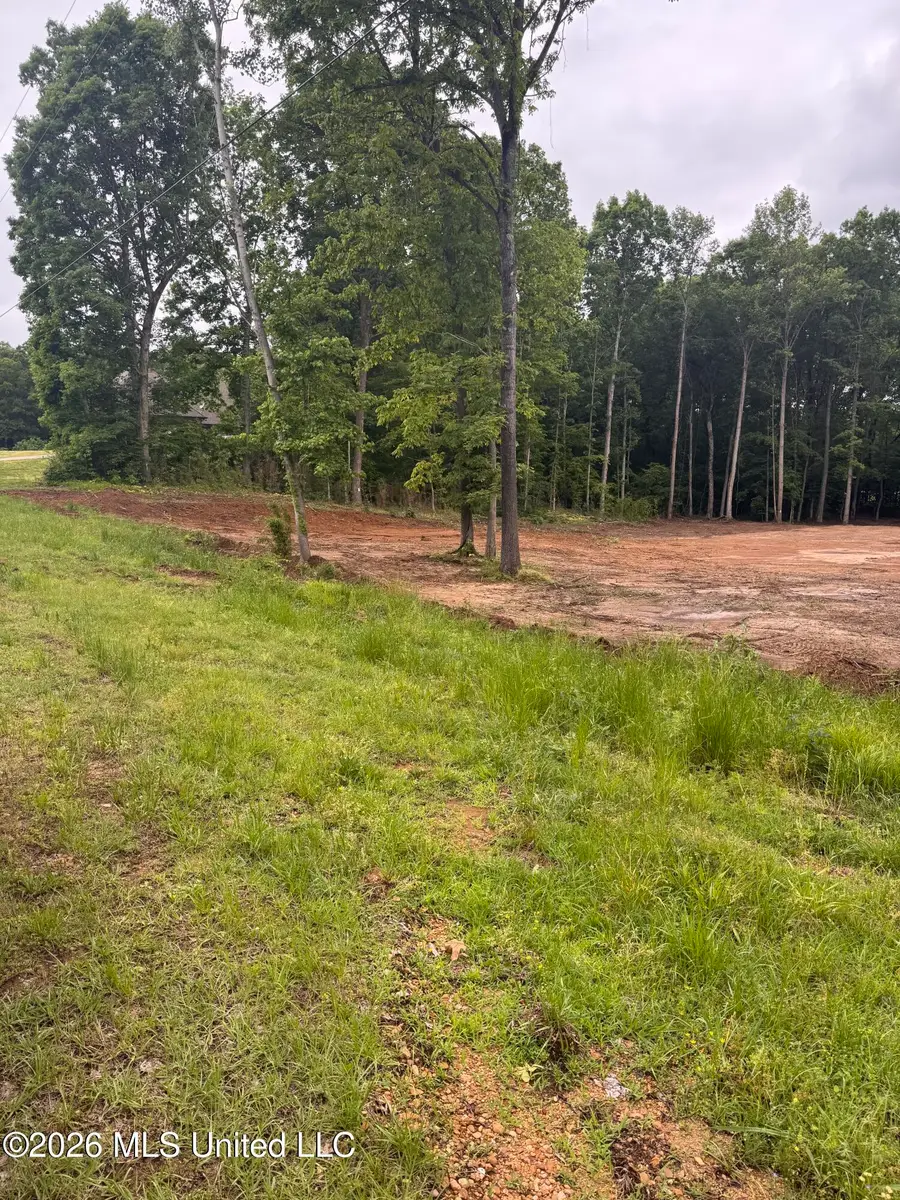 1306 Crockett Cove, Hernando, MS 38632 - #3