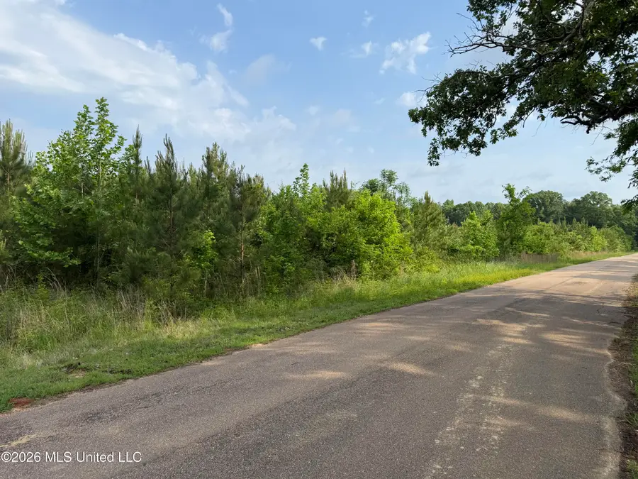 Scales Road, Morton, MS 39117 - #2