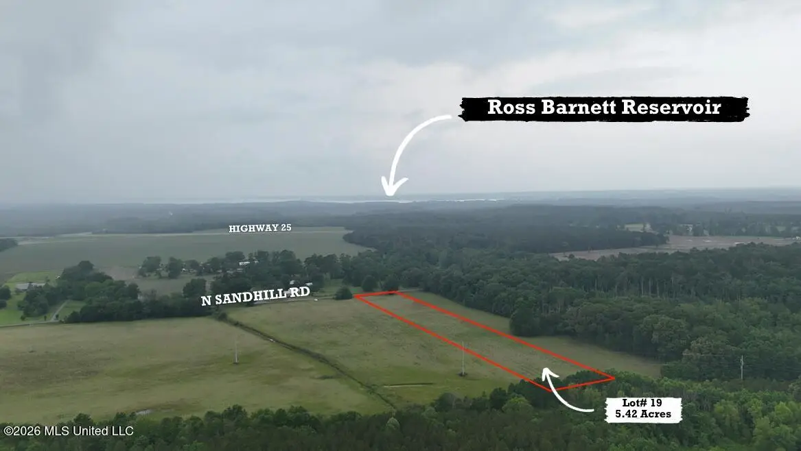 N Sandhill Road, Lena, MS 39094 - #1