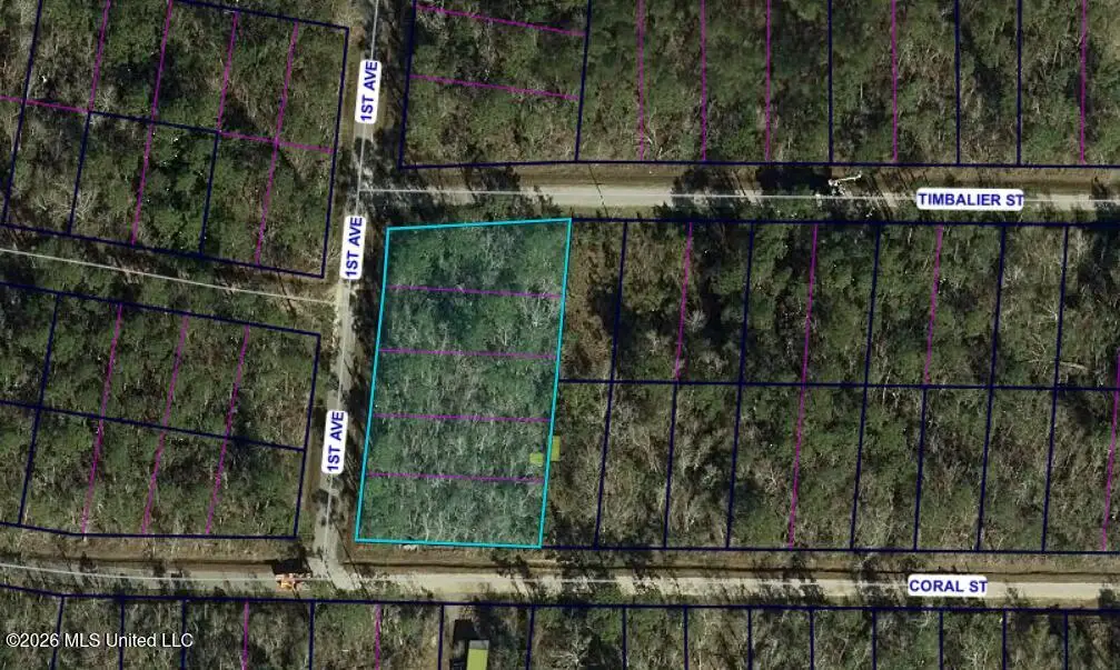 Coral Street, Waveland, MS 39576 - #1