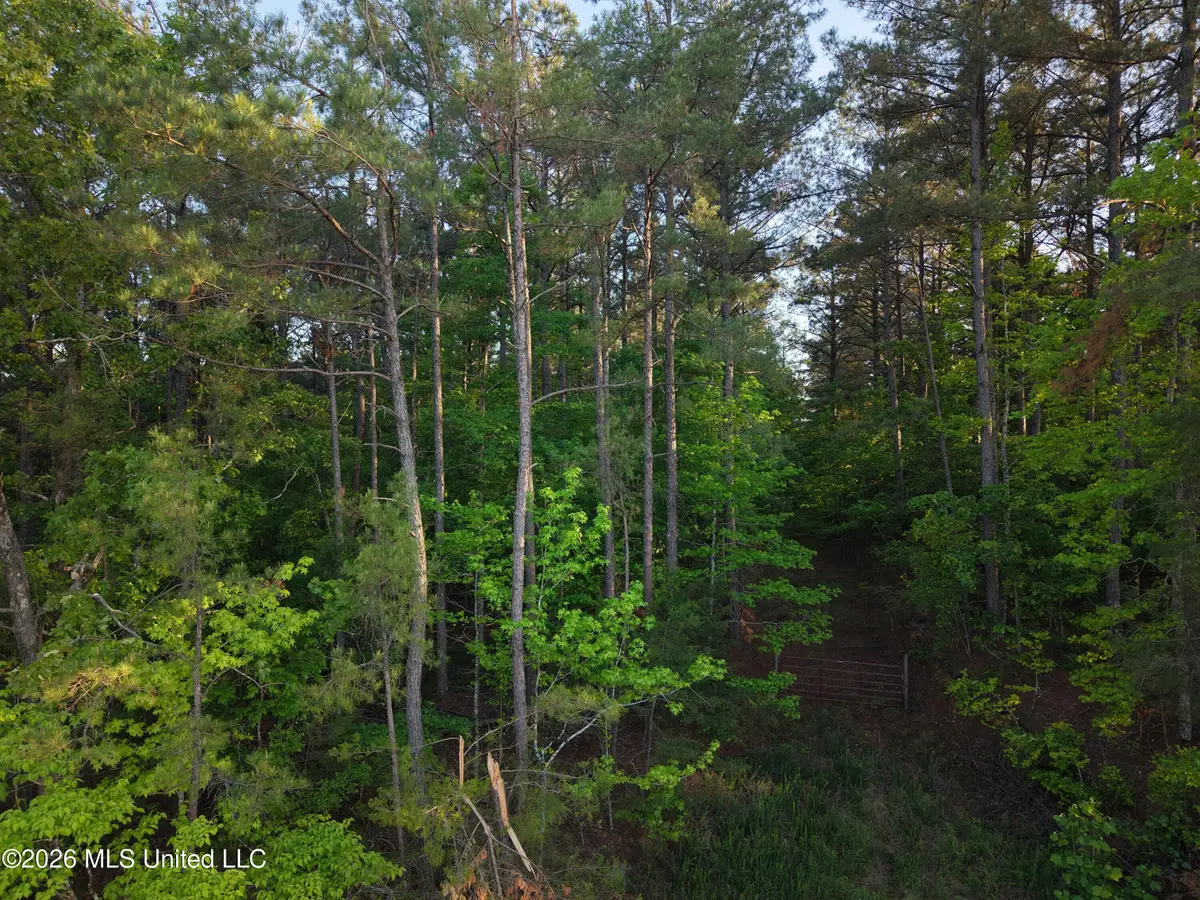 Stewart Weir Road, Stewart, MS 39767 - #1