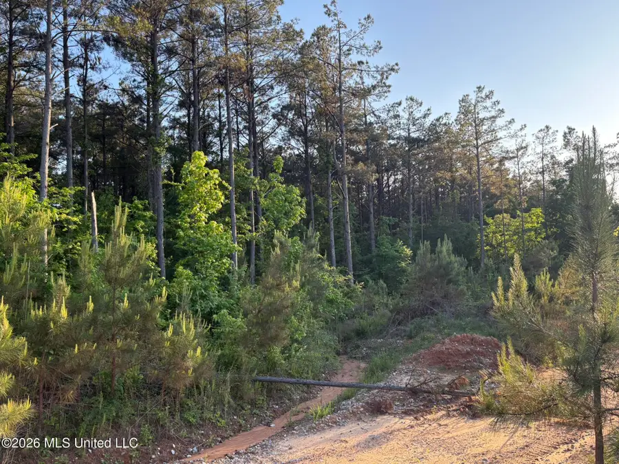 Stewart Weir Road, Stewart, MS 39767 - #2