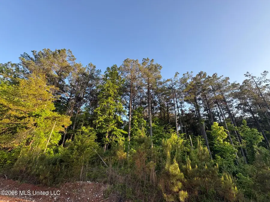 Stewart Weir Road, Stewart, MS 39767 - #3