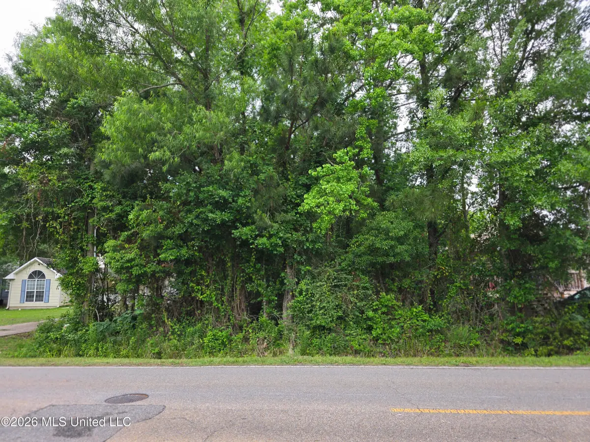 Menge Avenue, Pass Christian, MS 39571 - #1