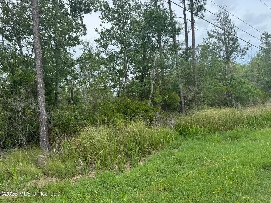 Nsn Lot 24 Piute Drive, Kiln, MS 39556 - #3