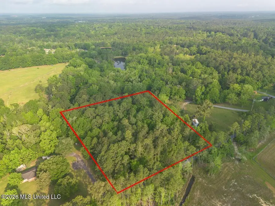Boggy Road, Vancleave, MS 39565 - #2