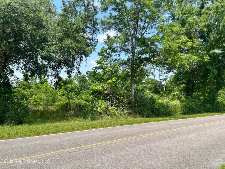 Basin School Road, Lucedale, MS 39452 - #2