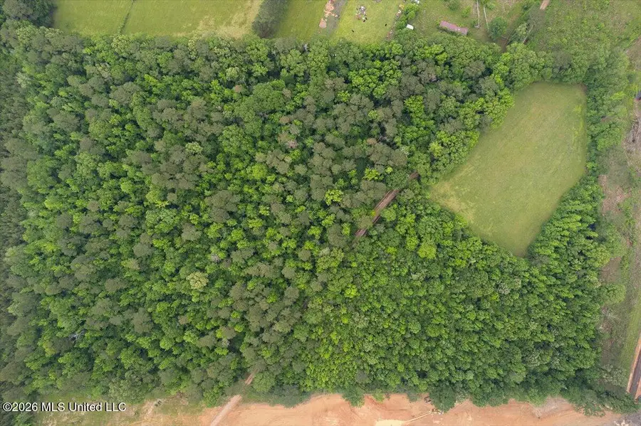 Calhoun Lane, Forest, MS 39074 - #3