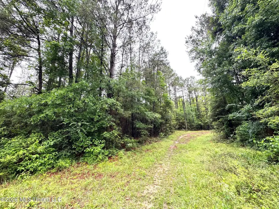 000 Emerald State Line Road, Magnolia, MS 39652 - #2