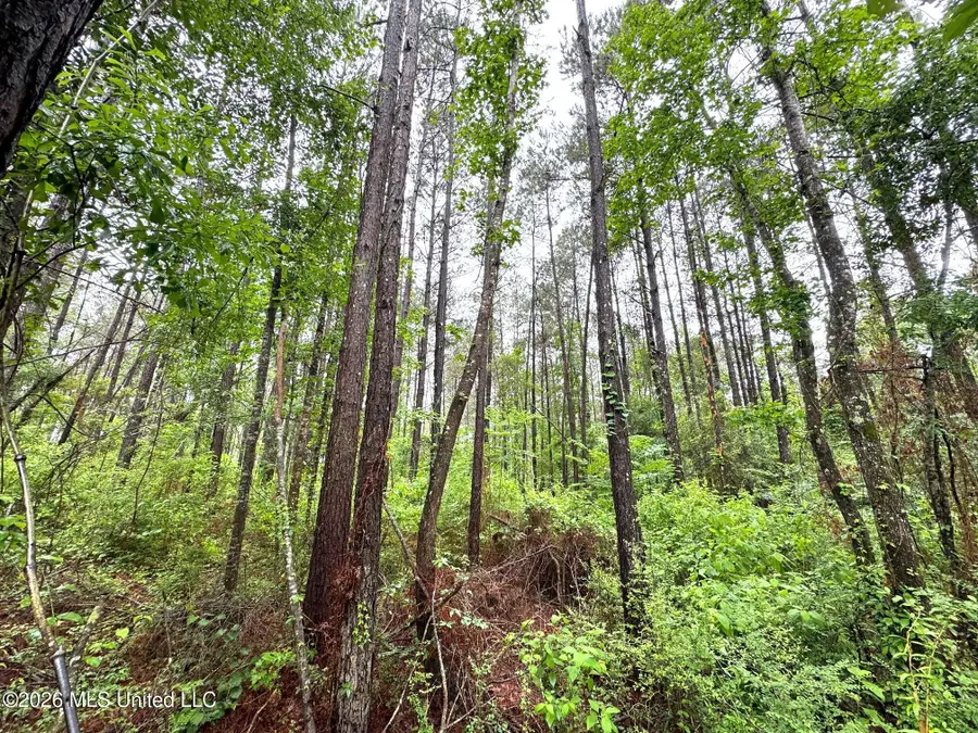 000 Emerald State Line Road, Magnolia, MS 39652 - #3