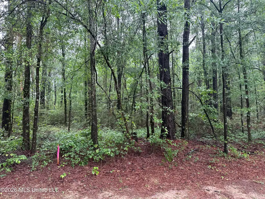 3627 B China Grove Drive, Brookhaven, MS 39601 - #3