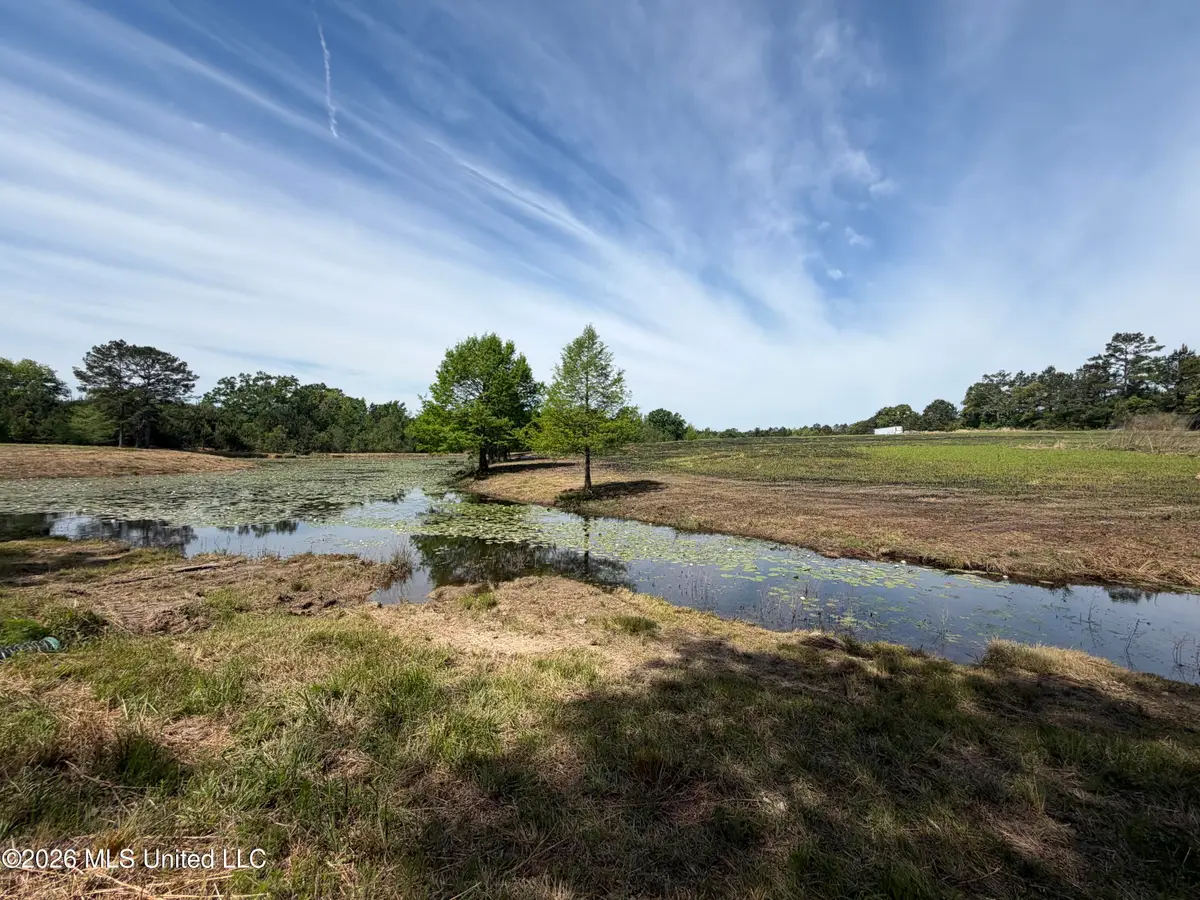 0 N Neely Avera Road, Neely, MS 39461 - #1