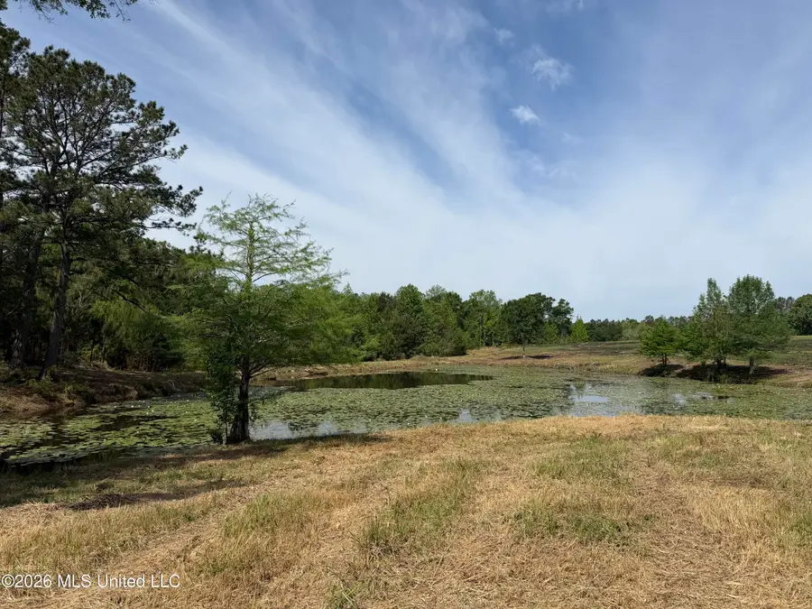 0 N Neely Avera Road, Neely, MS 39461 - #2