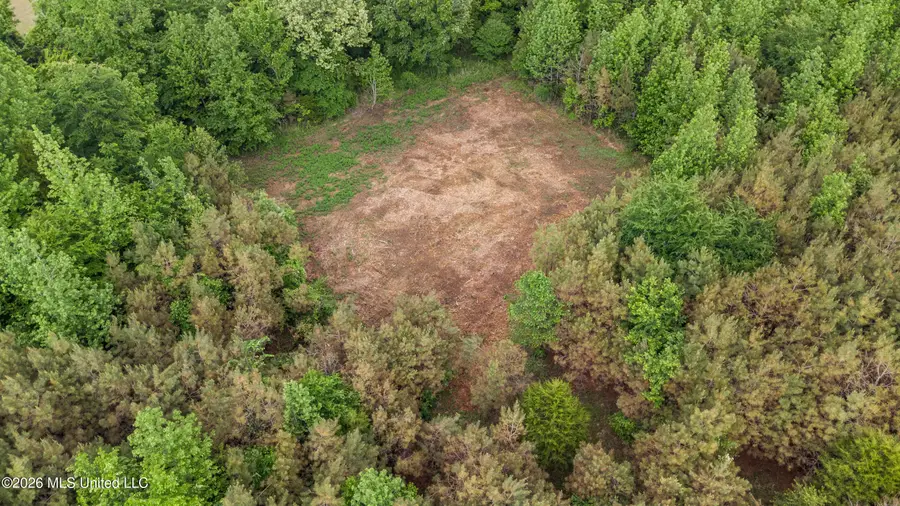 Isom Chapel Road, Holly Springs, MS 38635 - #2