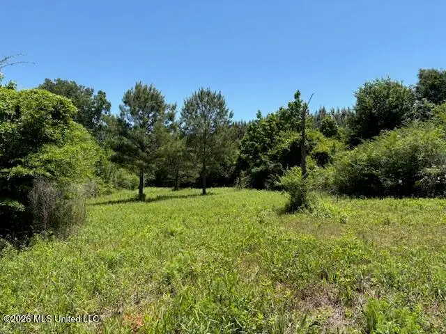 State Hwy 902, Pulaski, MS 39152 - #2