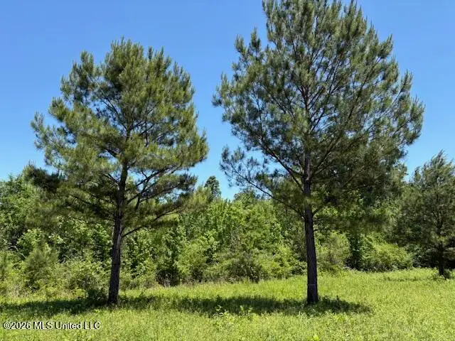State Hwy 902, Pulaski, MS 39152 - #3
