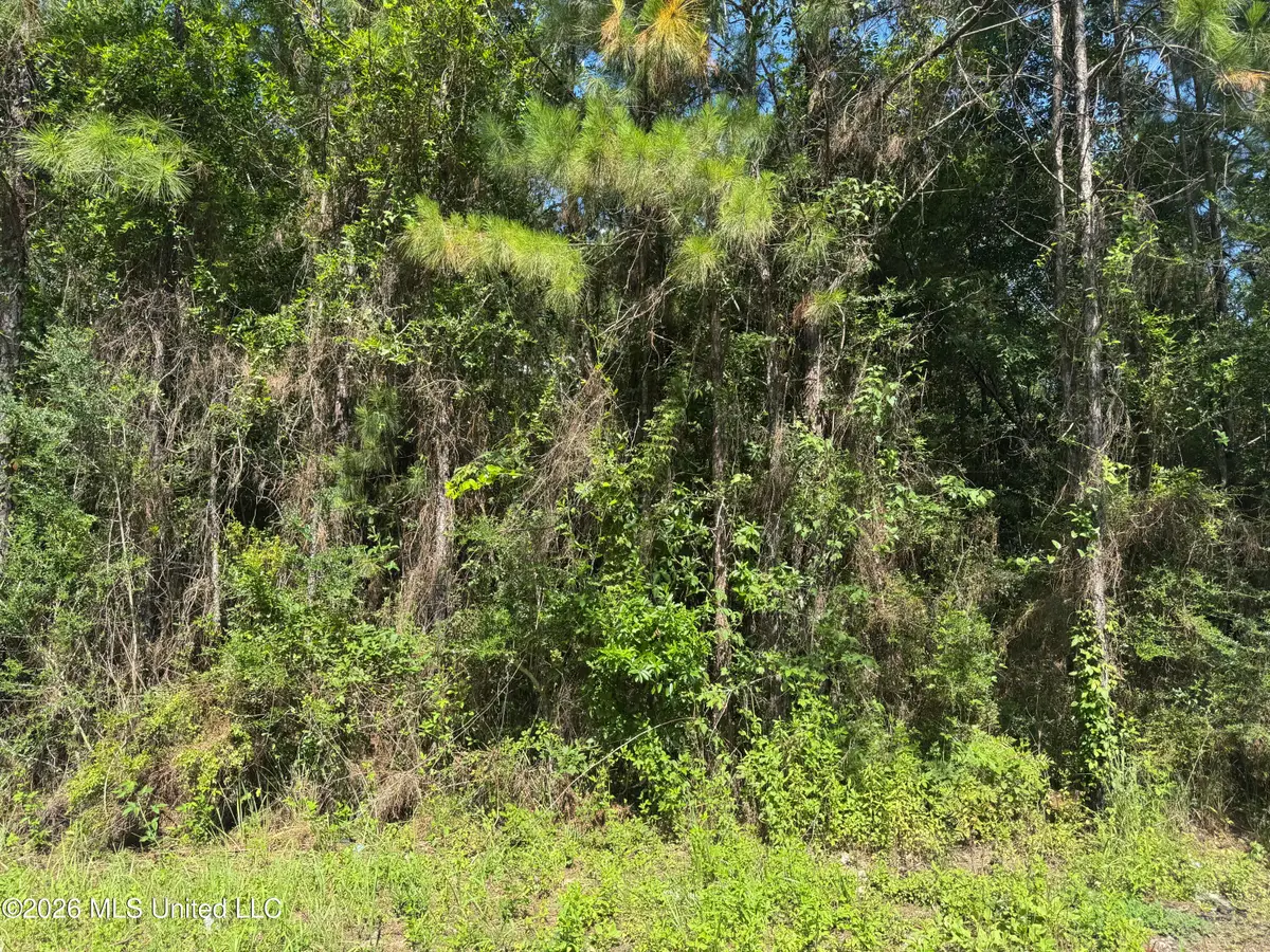 0 Schrader Court, Saucier, MS 39574 - #1