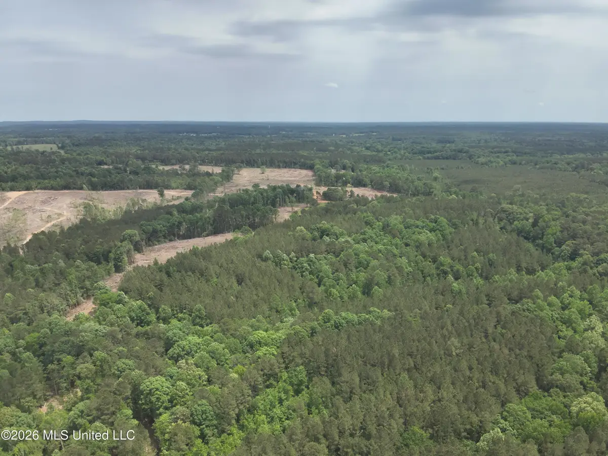 Smith County Rd 559, Pulaski, MS 39152 - #1