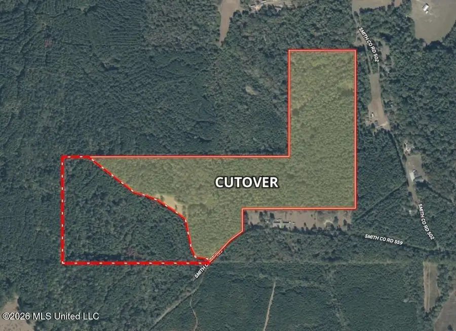 Smith County Rd 559, Pulaski, MS 39152 - #3