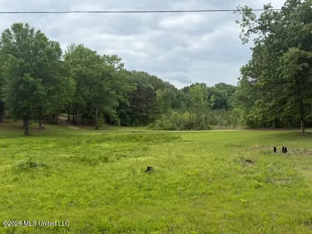 W Grady Road, Eupora, MS 39744 - #3