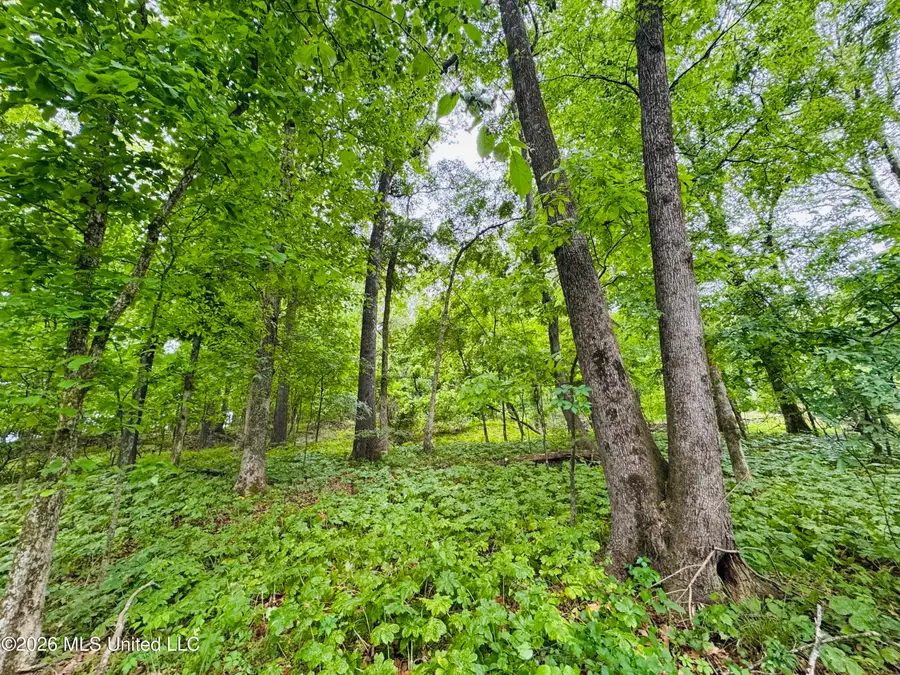 Kimber Cove, Hernando, MS 38632 - #2