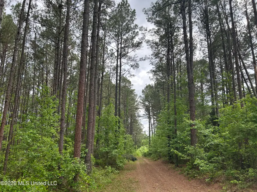 County Road 2608, Philadelphia, MS 39350 - #2