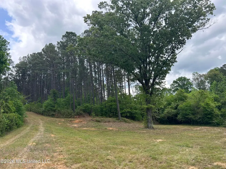 County Road 2608, Philadelphia, MS 39350 - #3