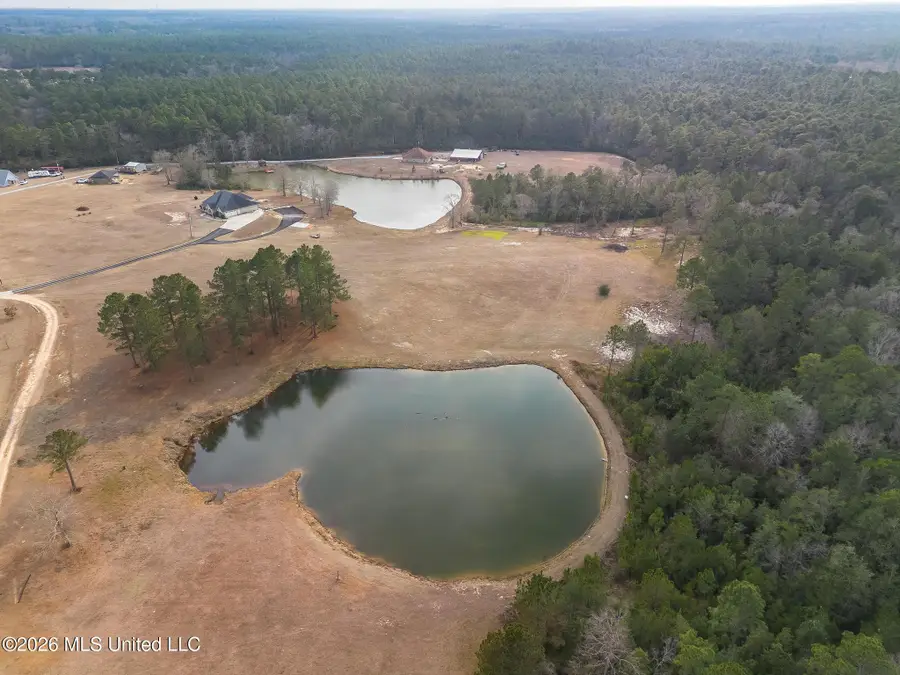 Lots 4,5,6 Kahler Lane, McHenry, MS 39561 - #2