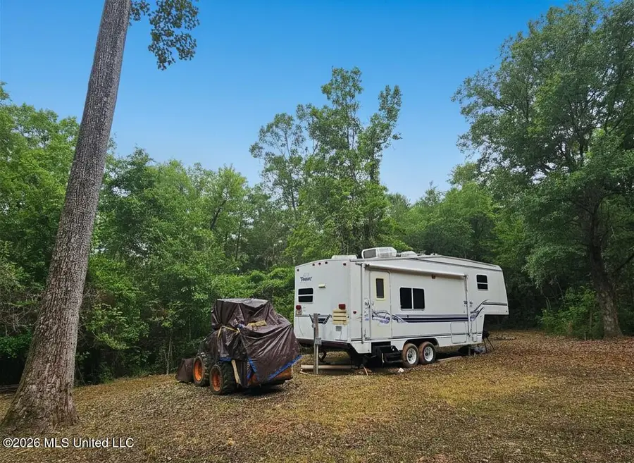 222 Lavelle Odom Road, Poplarville, MS 39470 - #3