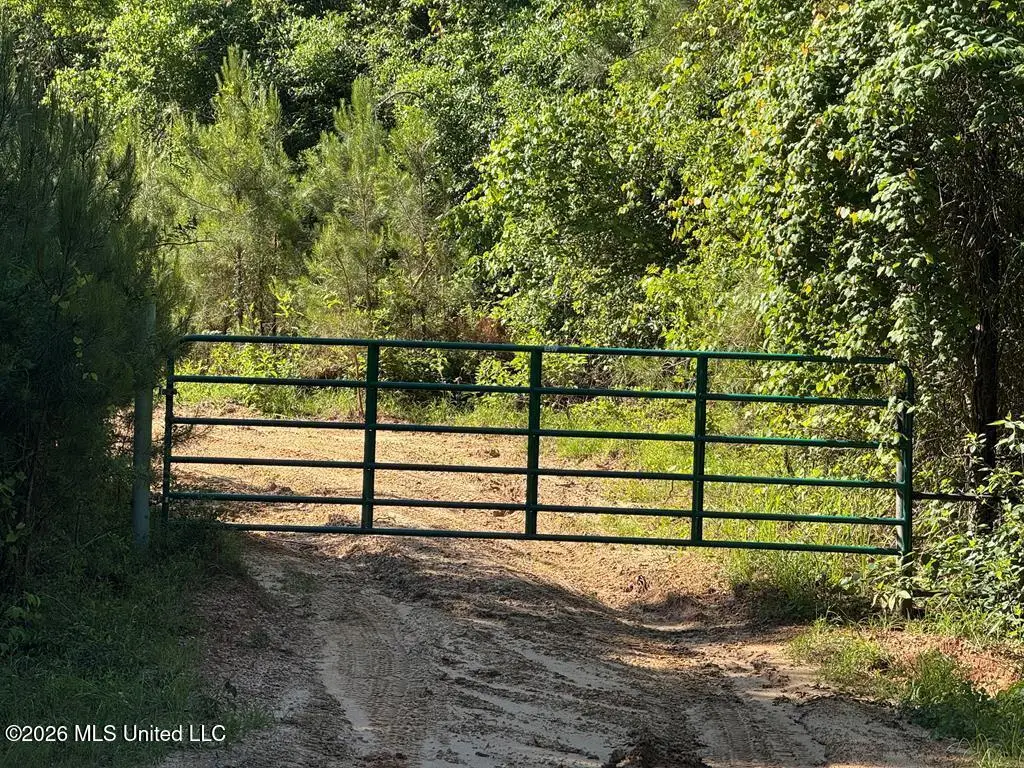 Hwy 43, Poplarville, MS 39470 - #1