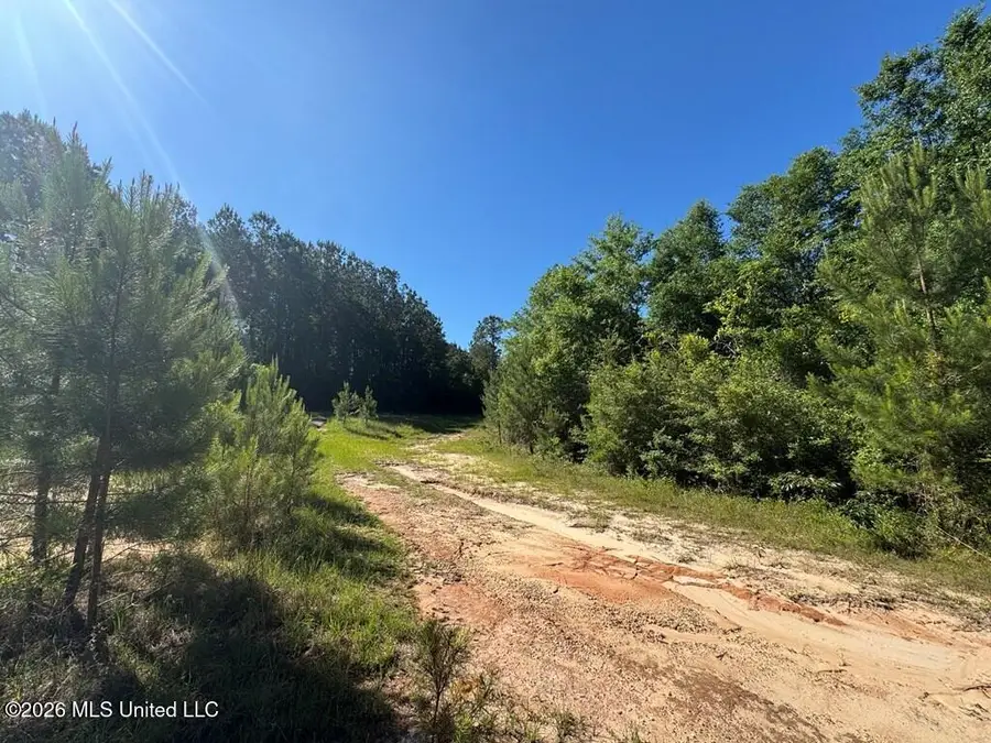 Hwy 43, Poplarville, MS 39470 - #2