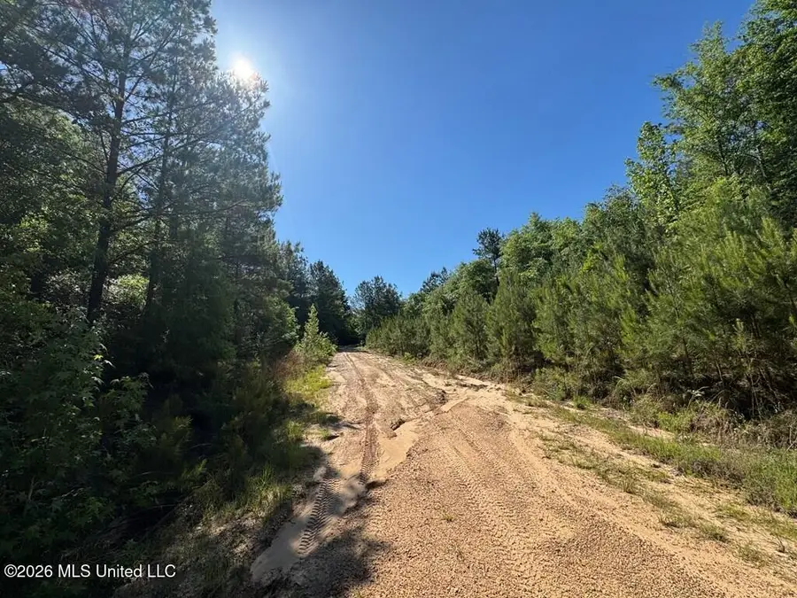 Hwy 43, Poplarville, MS 39470 - #3