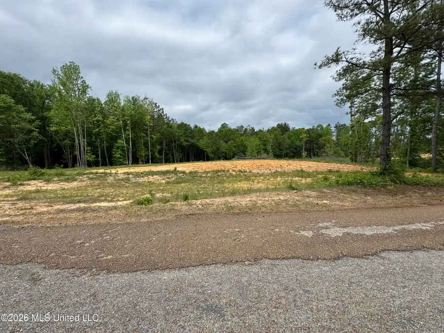 NE Allred Road, Eupora, MS 39744 - #2